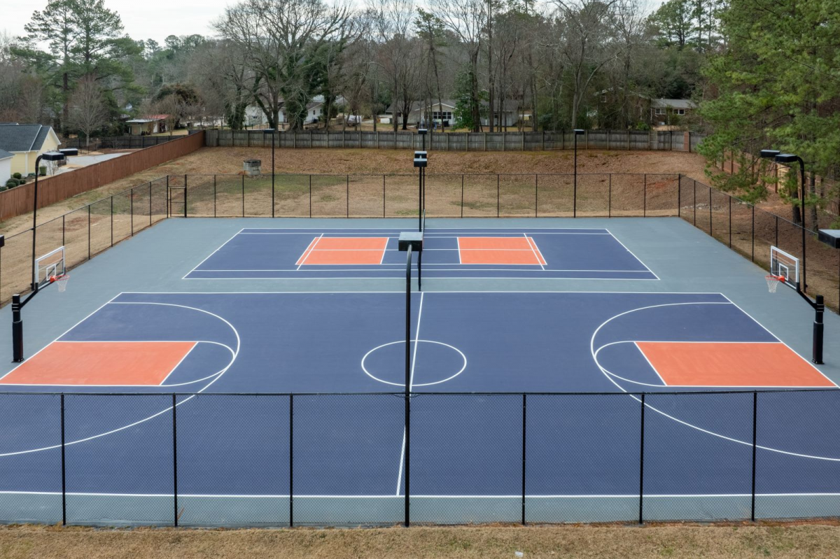 Clemson Resized Basketball
